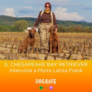 #089 - Il Chesapeake Bay Retriever:intervista a Moira Lanza Frank