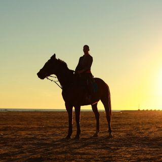 60 Seconds for Story Prompt Friday: What Horse Threw You? Get Back On!