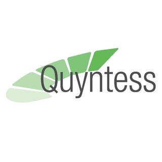 Quyntess