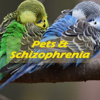 Pets & Schizophrenia