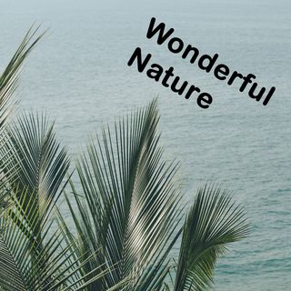 North Americas nature in a podcast