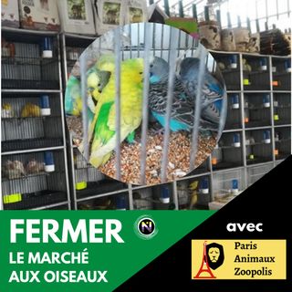 Fermer le marché aux oiseaux