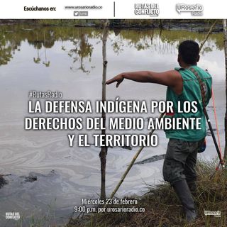 La defensa indígena por los derechos del medio ambiente y el territorio