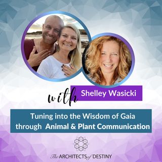Animal & Plant Communication with Shelley Wasicki