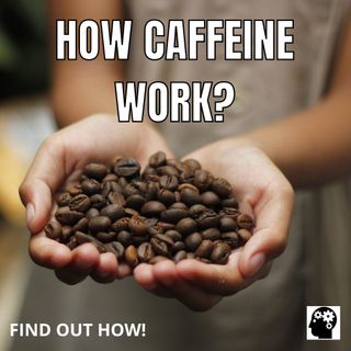 How Caffeine Work?