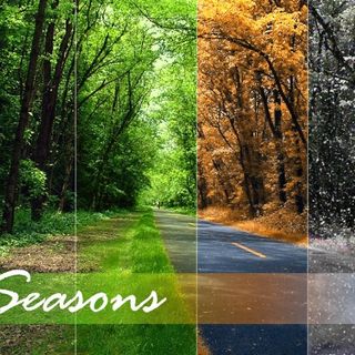 Floods Of Seasonal Changes