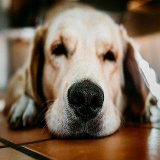 Sleepy mood