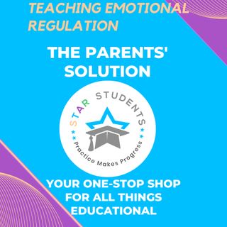 Teaching Children Emotional Regulation