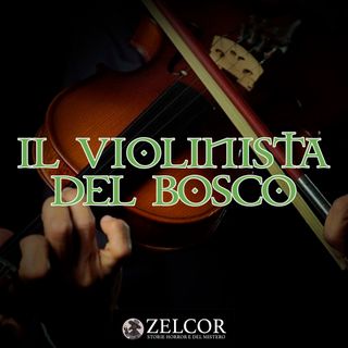 Audioracconto Il Violinista del Bosco