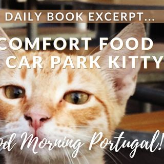 Comfort Food & Car Park Kitty (excerpt from 'Should I Move to Portugal?' with added commentary)
