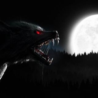 The Hunted Hunter
