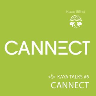 #6 | Cannect