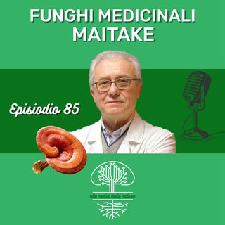 Funghi Medicinali: MAITAKE
