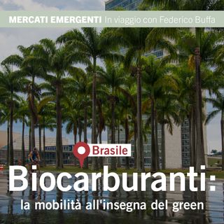 Biocarburanti: la mobilità all'insegna del green