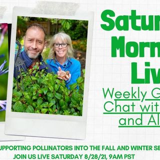 How to Support Pollinators into Fall and Winter - Saturday Morning LIVE - 8-28-2021