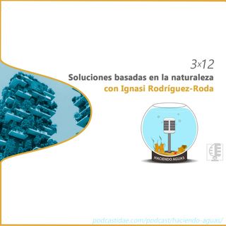 3x12 Soluciones basadas en la naturaleza con Ignasi Rodriguez-Roda