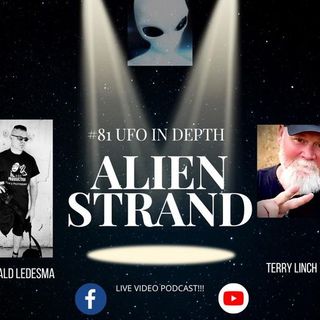#81 UFO in Depth -with(Terry Linch)