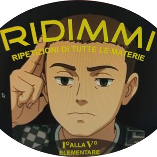 RiDiMmi