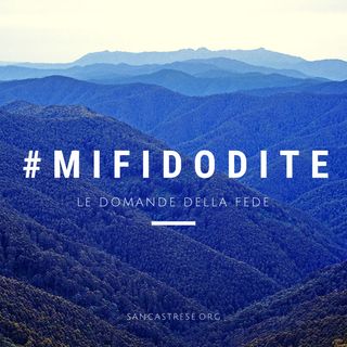 #mifidodite
