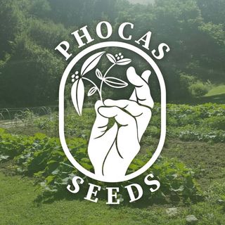 Phocas Seeds