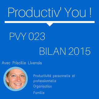 PVY EP023 BILAN PODCAST 2015