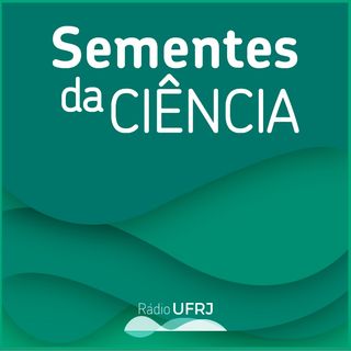 Projeto Garrafão: o mais longo estudo de monitoramento de pequenos mamíferos no Brasil