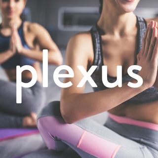Plexus Intro