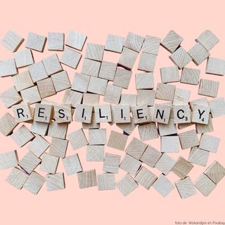 Cap. 15 La resiliencia