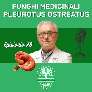 Funghi Medicinali: PLEUROTUS OSTREATUS