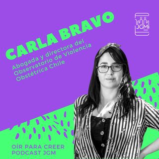 Carla Bravo, OVO Chile: "La violencia obstétrica es de las violencias de género más naturalizadas"