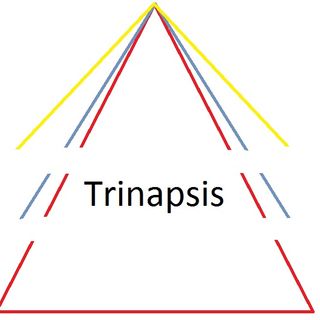 Trinapsis