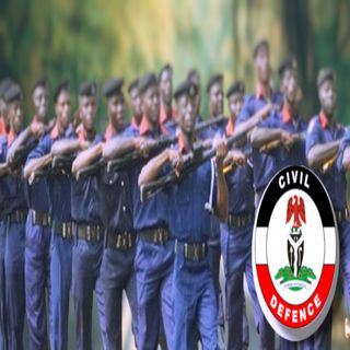 Bandits kill 7 NSCDC Officers, 5 others in Kaduna