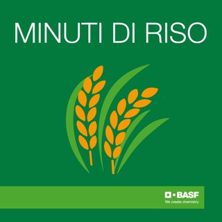 BASF Agricultural Solutions IT