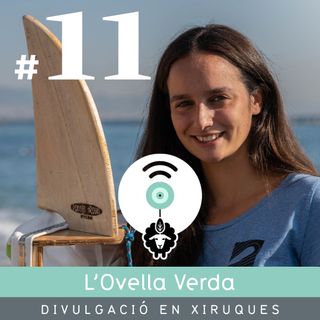 11 | "Surfing for Science": Com col·laborar amb la ciència sense dedicar-t'hi, amb la Sara Higueras Guillén