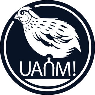 Collettivo Uanm | Non si affitta ai locali