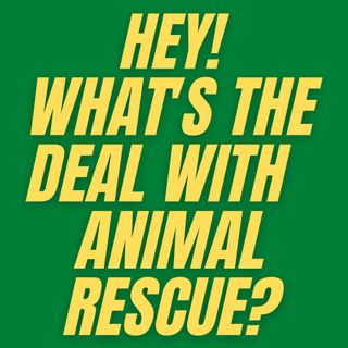 Episode 6 - What's the Deal with Animal Rescue?