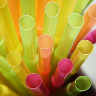 Palm Straw - Biodegradable Plant Based Straws.