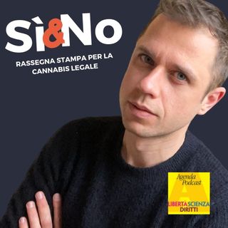 Ep. 19 // Un italiano su 10 ha consumato Cannabis