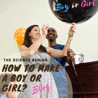 Baby Gender Predictor: Am I Having a Boy or Girl? Pregnancy Pukeology Podcast Episode 14