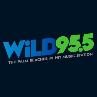 WiLD 95.5 (WLDI-FM)