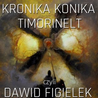 Dawid Figielek czyli Timorinelt