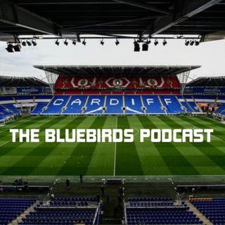 The Bluebirds Podcast