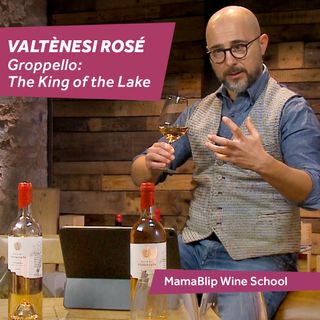Groppello | Valtènesi Rosè | Wine School with Filippo Bartolotta