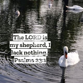 The LORD is my Shepherd I lack nothing **REPOST**