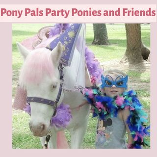 Pony Pals Party Ponies interview by Countyfairgrounds