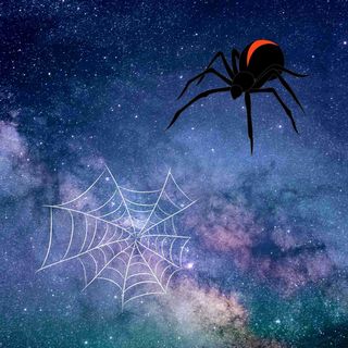Cosmic Arachnophobia - The Eternal Weaving of the Galactic Web