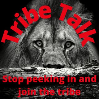 Tribe Talk 1