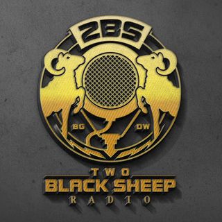 2BS Radio Network