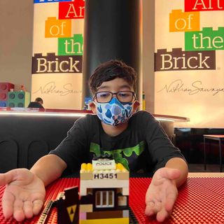 #24 The Art Brick Gallery Review by a KID