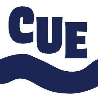 The Culture Cue